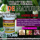 Illustration for article titled obat wasir ambeien